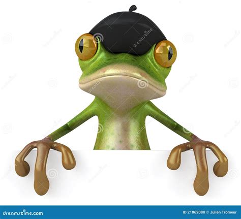 French frog stock illustration. Illustration of forest - 21862080