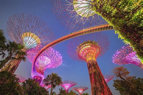 Gardens by the Bay with 2 Flower Dome + Marina Bay Sands Skypark