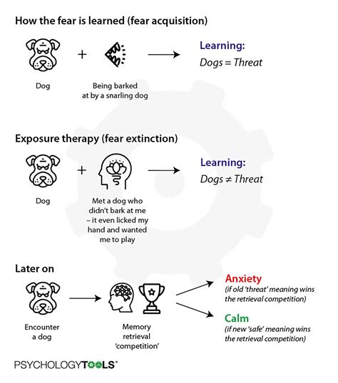 Delivering More Effective Exposure Therapy In CBT | Psychology Tools