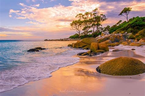 Binalong Bay, Tasmania | Australia travel, Beautiful sunrise, Tasmania