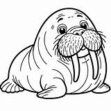 Walrus Coloring Pages 10  Gem sketch template
