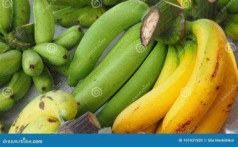 Thai Cavendish Banana and Pisang Awak on Sale Stock Photo - Image of frame, cavendish: 101031502