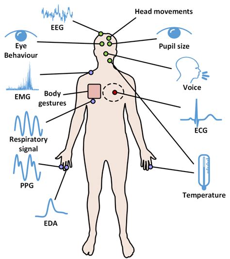 Common physiological and physical measures related to stress... | Download Scientific Diagram