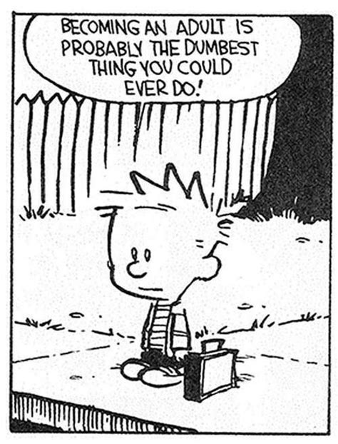 Pin by Julie Gardner on When I need a good laugh | Calvin and hobbes ...