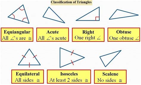 What are the Different Types of Triangles - A Plus Topper https://www ...