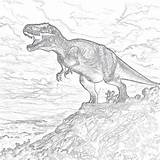 Dinosaur Color Page Printable  Coloring Pages Mimi Panda sketch template