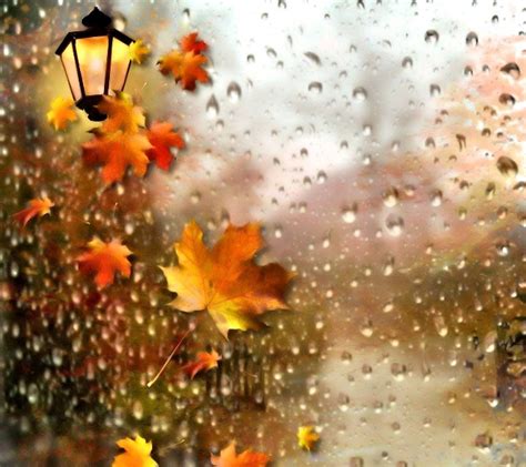 18 Rainy Autumn Wallpaper Hd Basty Wallpaper - vrogue.co