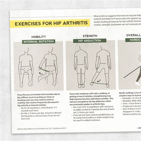 Hip Arthritis Exercises – Adult and pediatric printable resources for speech and occupational ...