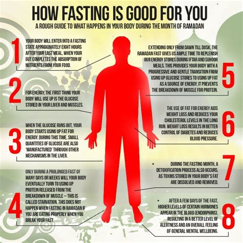 What Happens in your Body in the Fasting Month? - IKCA