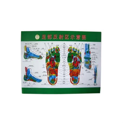 Charts of Reflex Zones of Hand, Foot, Face, Ear Acupoints Chart, schematic diagram, 4 charts ...