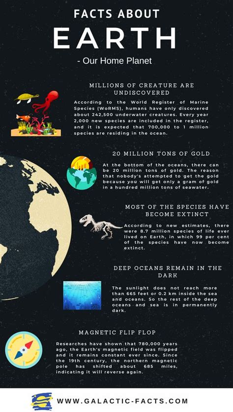 10 Facts About Earth Infographic Earth Science Facts About Earth – NBKomputer