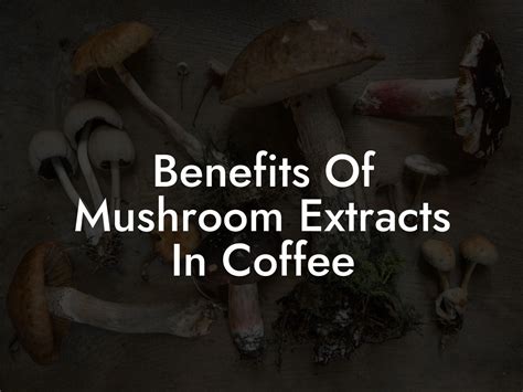 Benefits Of Mushroom Extracts In Coffee - Mr Mushroom