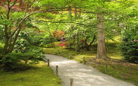 Japanese Garden Wallpaper Backgrounds - WallpaperSafari