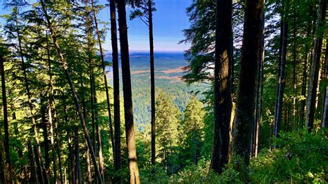 Hiking Humbug Mountain Trail on the Oregon Coast - Another 100 Feet