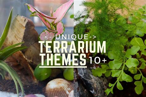 Discover 10 Unique Terrarium Themes to Spark Your Creativity