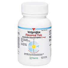 Carprofen Chewable Tablet (Generic to Rimadyl, Novox, Vetprofen) | dog ...