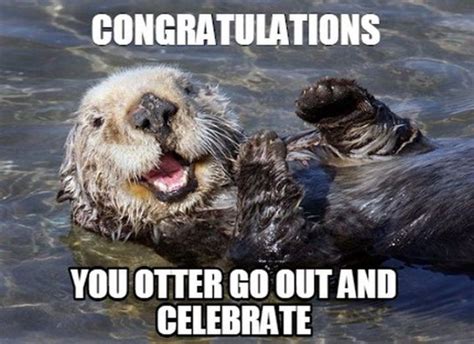 71 Funny Congratulations Memes to Celebrate Success | Otters, Sea otter, Animal facts