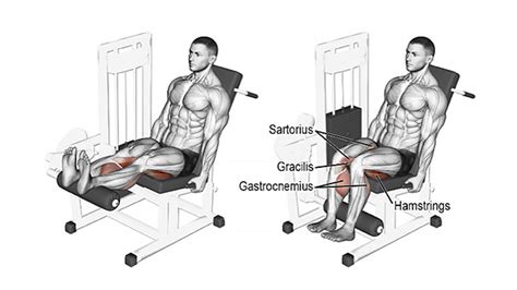 Leg Curls: Seated, Lying, or Standing?