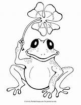 Leapfrog Baby Animal Coloring Pages sketch template