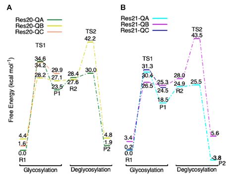 Figure 11 from A Case Study of the Glycoside Hydrolase Enzyme Mechanism ...