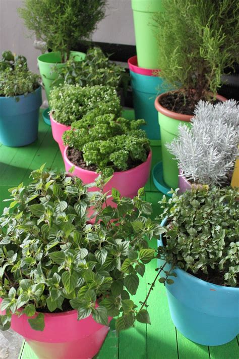 Growing Herbs - How to Grow, Store and Use Fresh Herbs