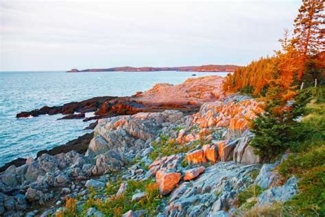 Cutler Coast Trail In Maine - Hike Spectacular Sea Cliffs