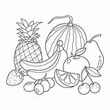 Desenho De frutas Para Colorir  Vetor Premium sketch template