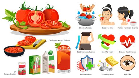 The Benefits Of Tomato In Medicine The Use Vegetables To Lose Weight ...