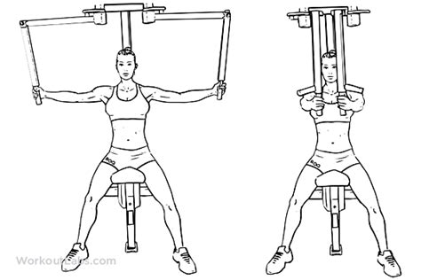 Butterflies / Pec Deck / Seated Machine Flyes | WorkoutLabs