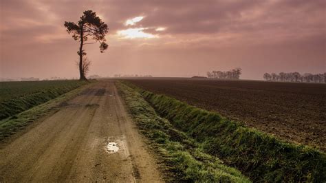 Brown dirt road, nature, landscape HD wallpaper | Wallpaper Flare