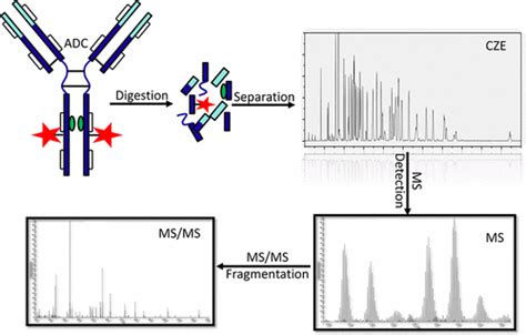 High-Resolution Capillary Zone Electrophoresis with Mass Spectrometry ...