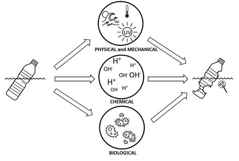 Plastic degradation processes in aquatic environments. | Download ...