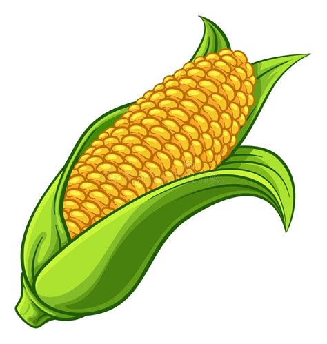 Sweet Corn Ear Maize Cob Cartoon Illustration Stock Vector - Illustration of farm, garden: 230565749