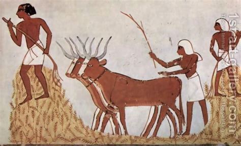 threshing wheat - Google Search | Ancient egyptian tombs, Ancient egyptian paintings, Ancient ...