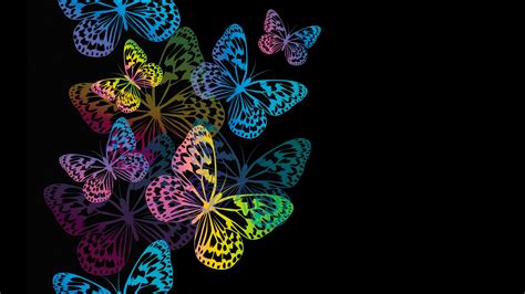 Colorful Butterflies Wallpaper