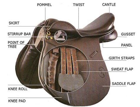 Labeled English Saddle (Levels 1 & 2) | Equestrian outfits, Horse camp, Equestrian