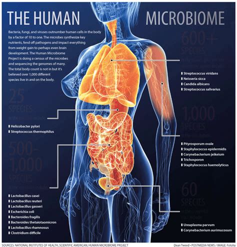 Glyphosate and the Gut Microbiome: Another Bad Argument Annihilated – The Credible Hulk