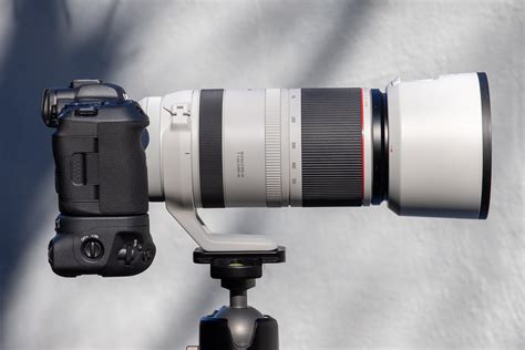 Canon RF100-500 F4.5-7.1 L Lens Review: The Wildlife Photographer’s Pro ...