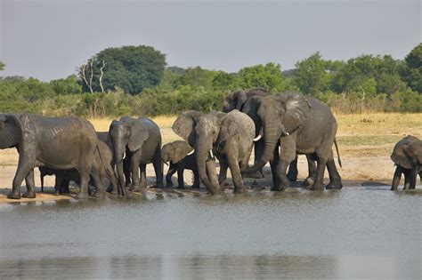 Hwange National Park • Africa Travel Centre