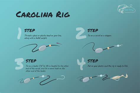 Perfect Carolina Rig for Dominating Bass Fishing: Expert Tips and Tricks