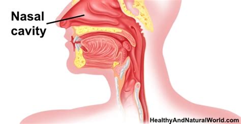 The Best Home Remedies for Blocked or Stuffy Nose