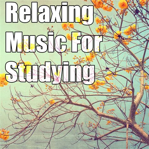 Relaxing Music For Studying Spotify Playlist