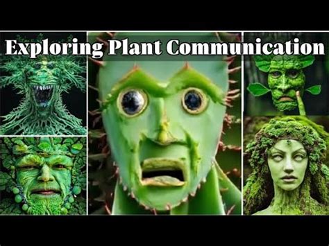 Whispers of the Green World: Exploring Plant Communication - YouTube