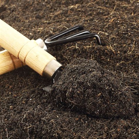 What To Know About Loam Soil for Your Garden | The Family Handyman