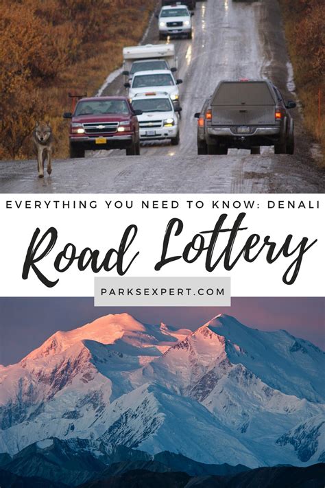 Denali Road Lottery: Everything You Need to Know » The Parks Expert