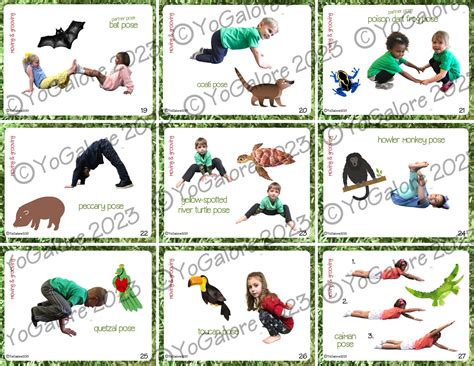 Slowly, Slowly, Slowly Said the Sloth Yoga & Movement Pose Card Set - Etsy