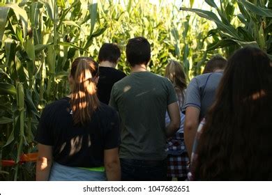 Kids corn maze Images, Stock Photos & Vectors | Shutterstock