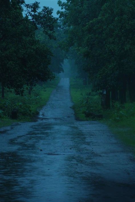 Untitled | Yağmur fotoğrafçılığı, Peyzaj düzenlemesi fikirleri, Manzara