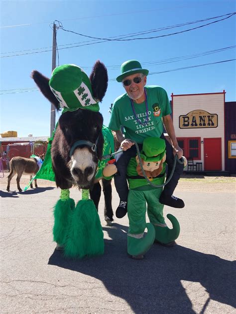 Forever Home Donkey Rescue: BURRO RACING IN ARIZONA