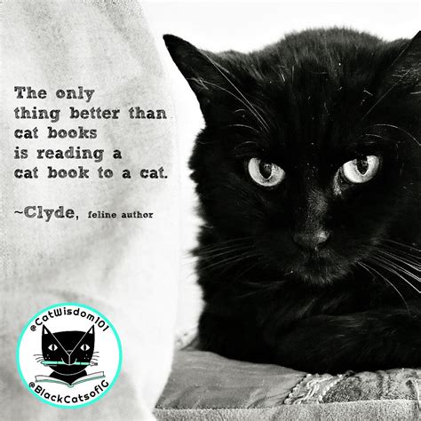 clyde_cat_quotes